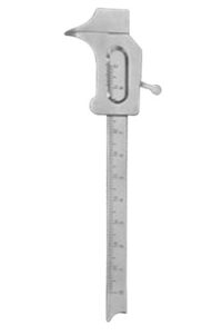 Vernier