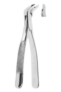 Extracting Forceps American Pattern